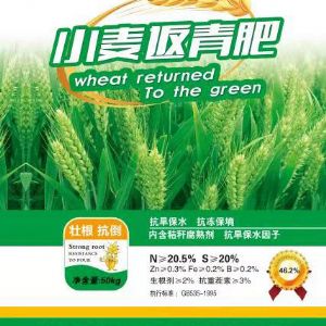 小麥返青肥